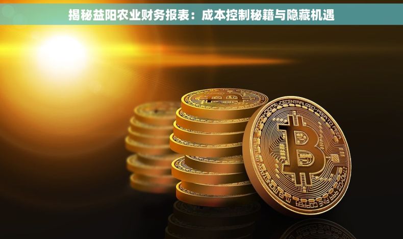 揭秘益阳农业财务报表：成本控制秘籍与隐藏机遇