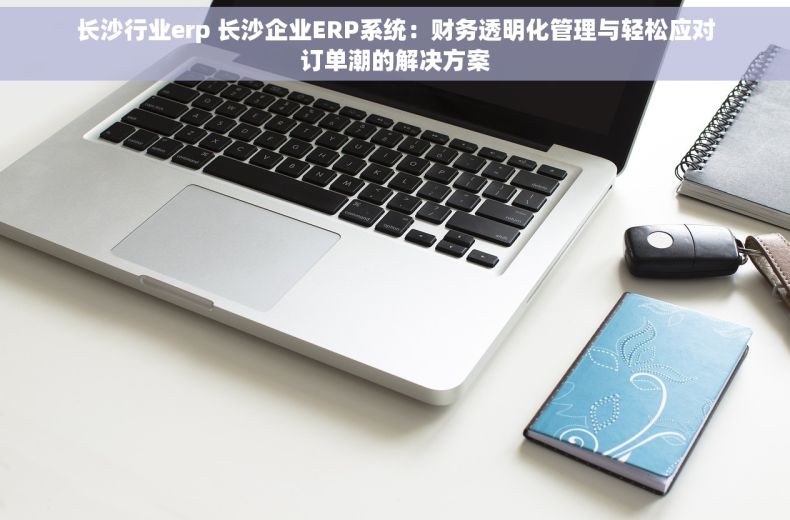 长沙行业erp 长沙企业ERP系统：财务透明化管理与轻松应对订单潮的解决方案