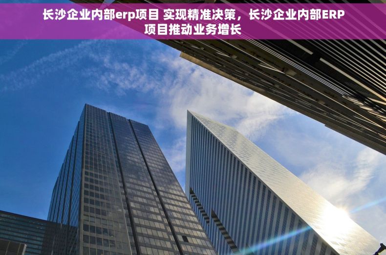 长沙企业内部erp项目 实现精准决策，长沙企业内部ERP项目推动业务增长