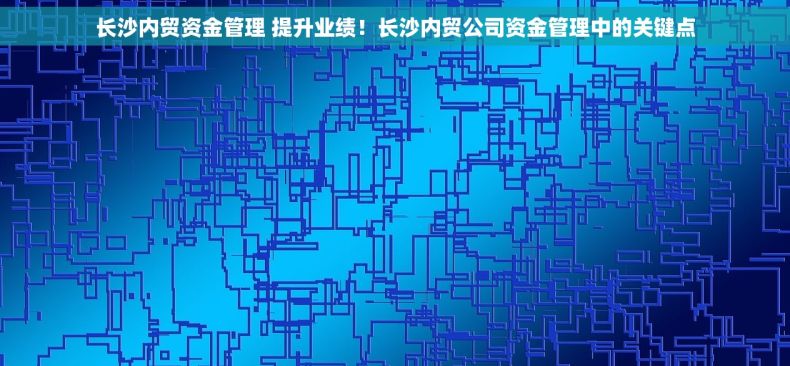 长沙内贸资金管理 提升业绩！长沙内贸公司资金管理中的关键点