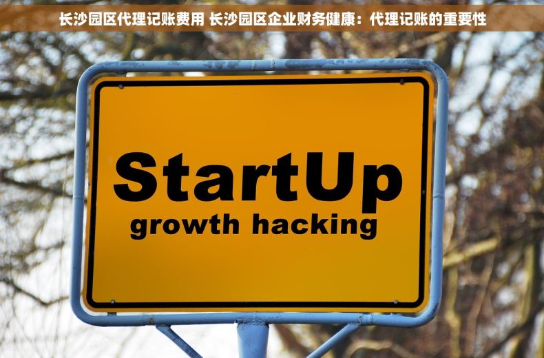 长沙园区代理记账费用 长沙园区企业财务健康：代理记账的重要性