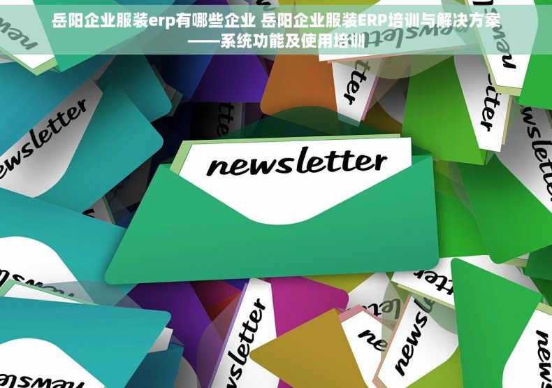 岳阳企业服装erp有哪些企业 岳阳企业服装ERP培训与解决方案——系统功能及使用培训