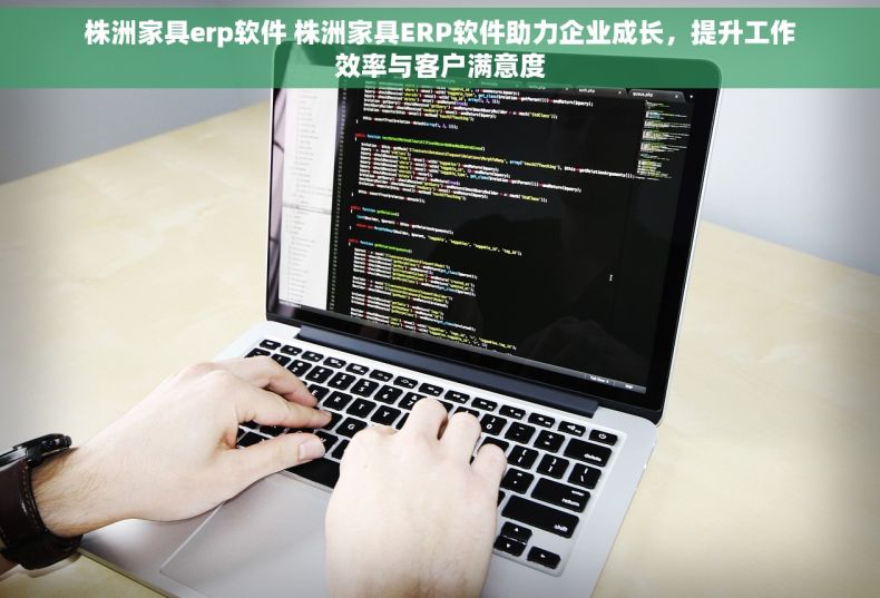 株洲家具erp软件 株洲家具ERP软件助力企业成长，提升工作效率与客户满意度