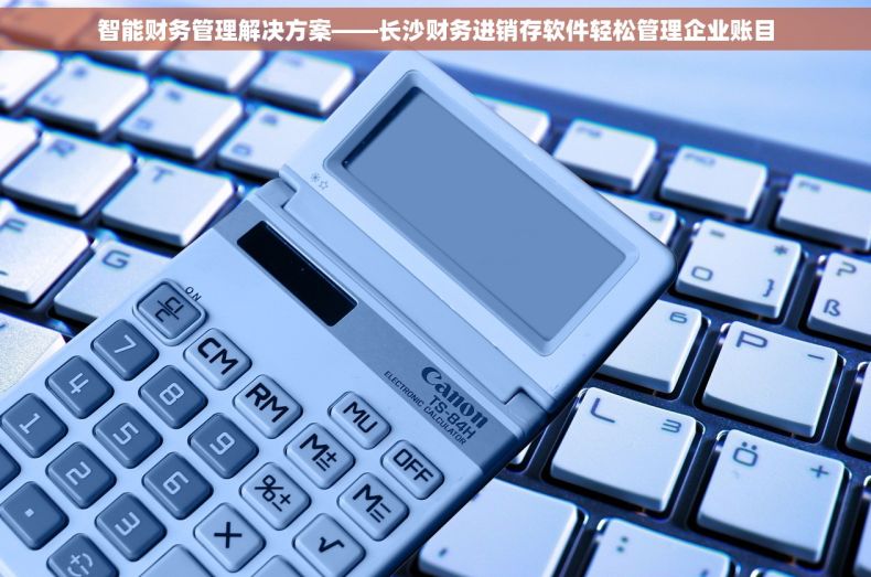 智能财务管理解决方案——长沙财务进销存软件轻松管理企业账目