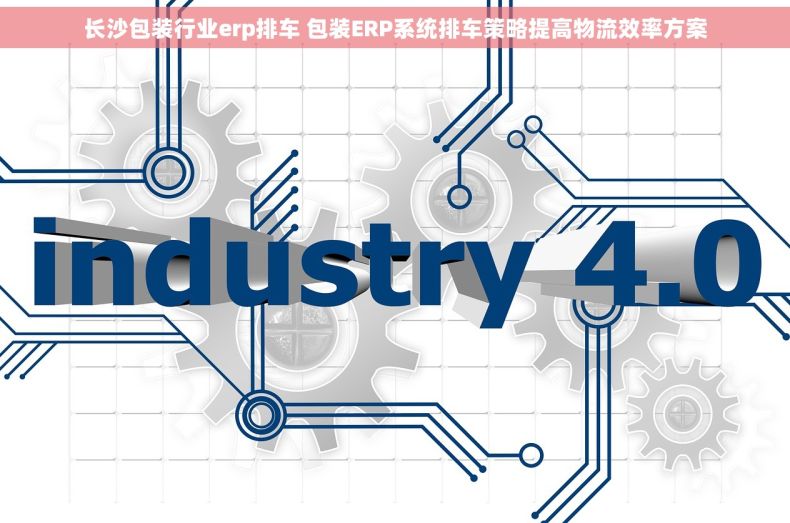 长沙包装行业erp排车 包装ERP系统排车策略提高物流效率方案