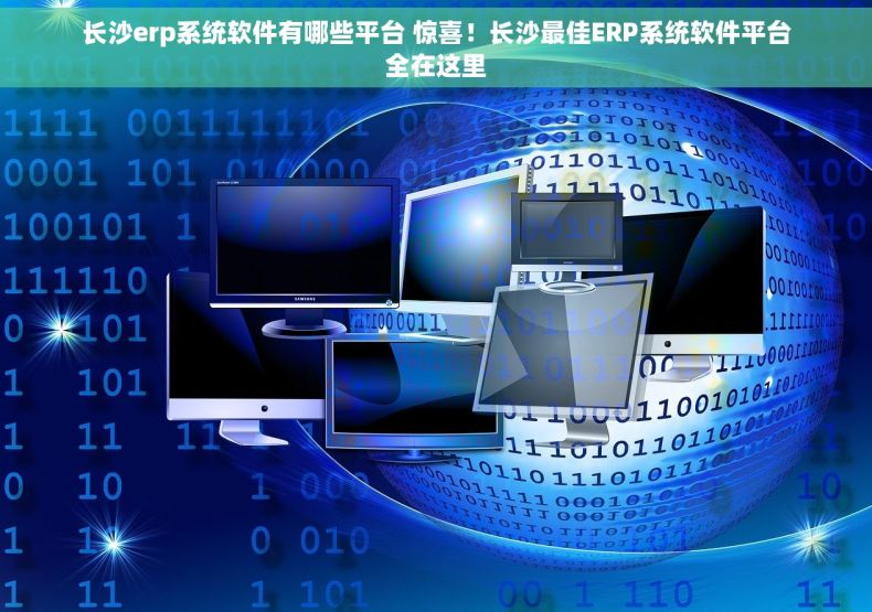 长沙erp系统软件有哪些平台 惊喜！长沙最佳ERP系统软件平台全在这里