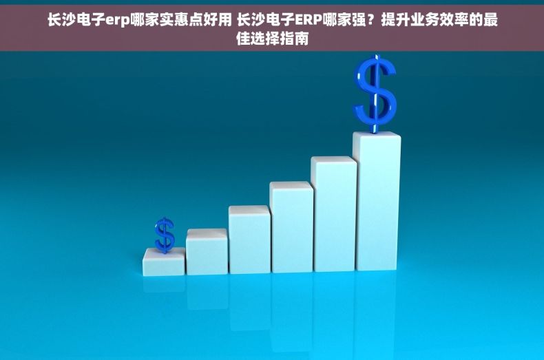 长沙电子erp哪家实惠点好用 长沙电子ERP哪家强？提升业务效率的最佳选择指南