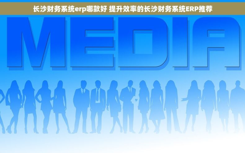 长沙财务系统erp哪款好 提升效率的长沙财务系统ERP推荐
