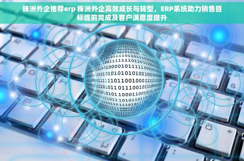株洲外企推荐erp 株洲外企高效成长与转型，ERP系统助力销售目标提前完成及客户满意度提升