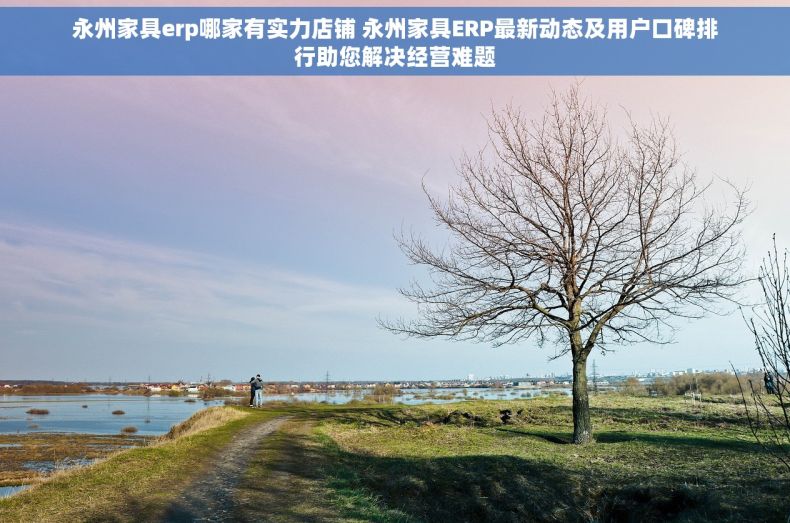 永州家具erp哪家有实力店铺 永州家具ERP最新动态及用户口碑排行助您解决经营难题