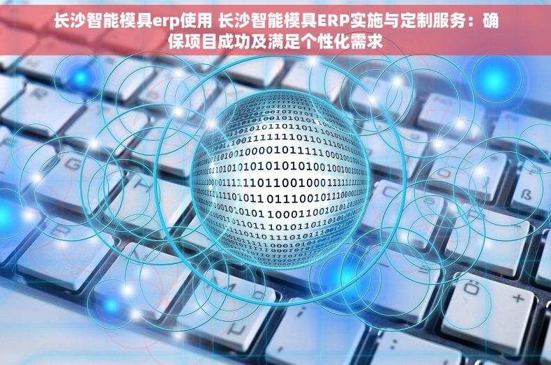 长沙智能模具erp使用 长沙智能模具ERP实施与定制服务：确保项目成功及满足个性化需求