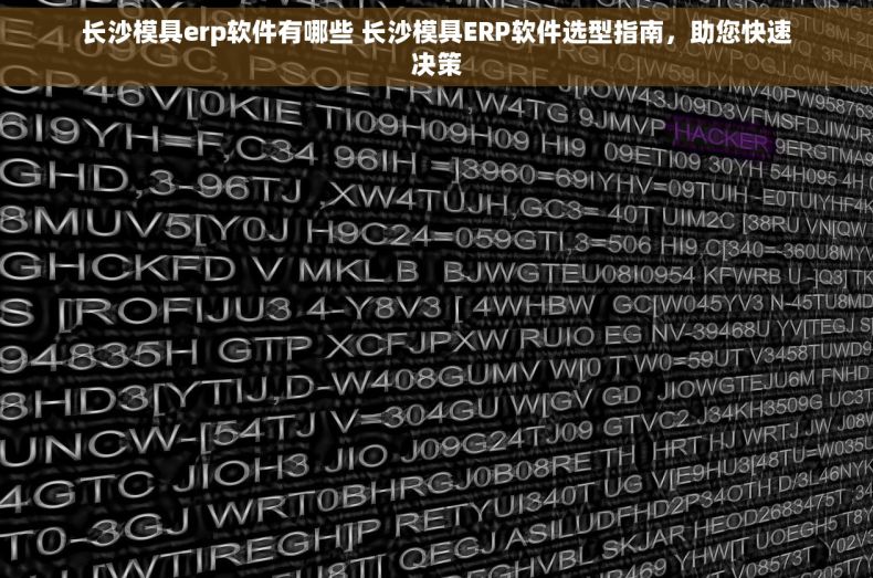 长沙模具erp软件有哪些 长沙模具ERP软件选型指南，助您快速决策