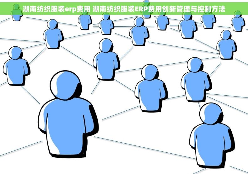 湖南纺织服装erp费用 湖南纺织服装ERP费用创新管理与控制方法