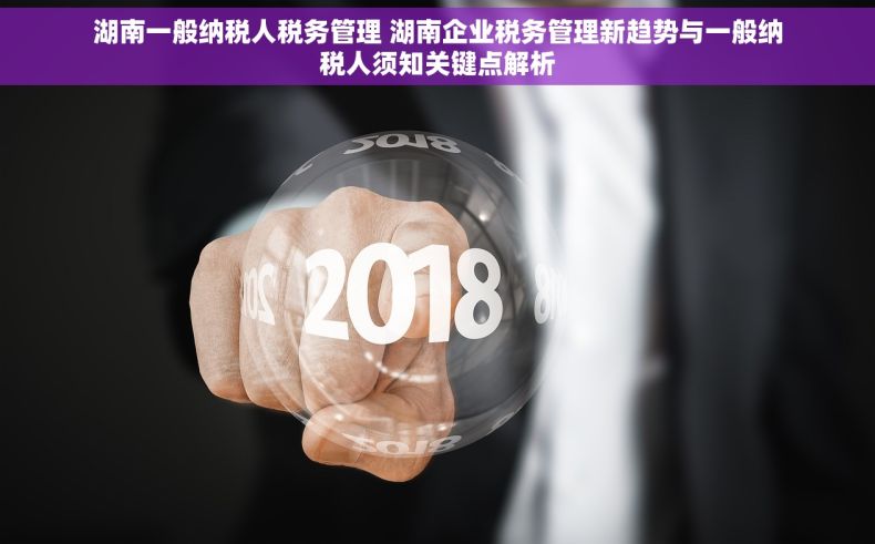 湖南一般纳税人税务管理 湖南企业税务管理新趋势与一般纳税人须知关键点解析