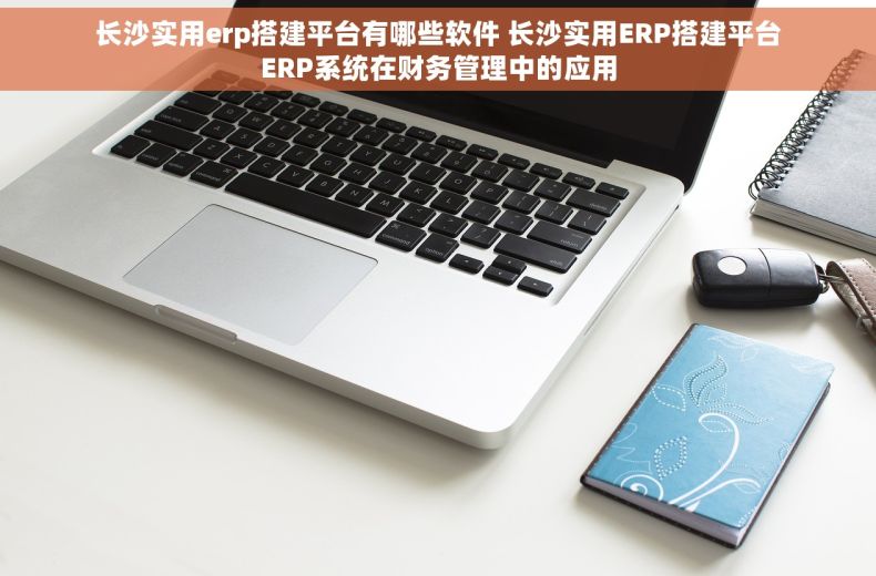 长沙实用erp搭建平台有哪些软件 长沙实用ERP搭建平台ERP系统在财务管理中的应用