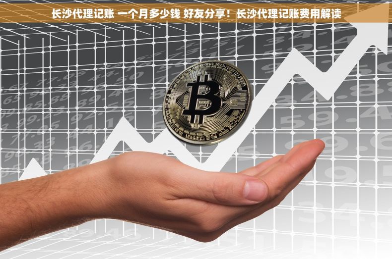 长沙代理记账 一个月多少钱 好友分享！长沙代理记账费用解读