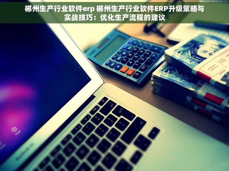 郴州生产行业软件erp 郴州生产行业软件ERP升级策略与实战技巧：优化生产流程的建议