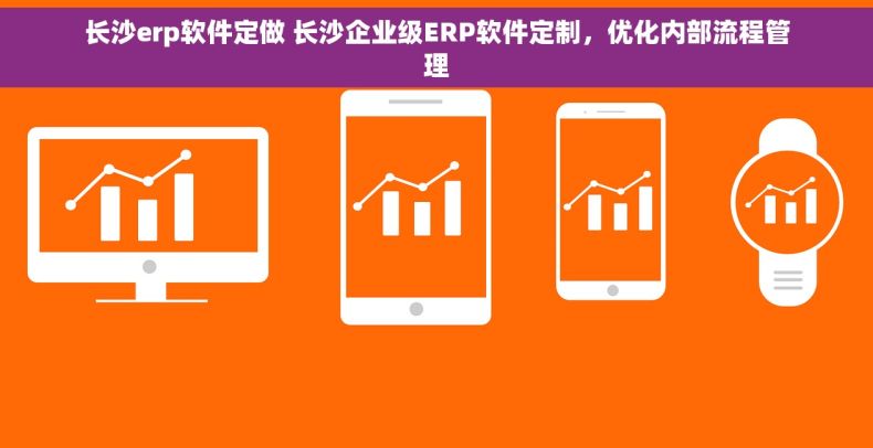 长沙erp软件定做 长沙企业级ERP软件定制，优化内部流程管理