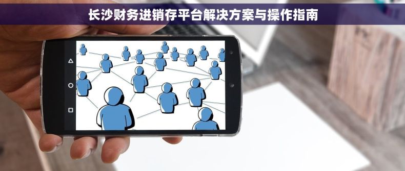 长沙财务进销存平台解决方案与操作指南