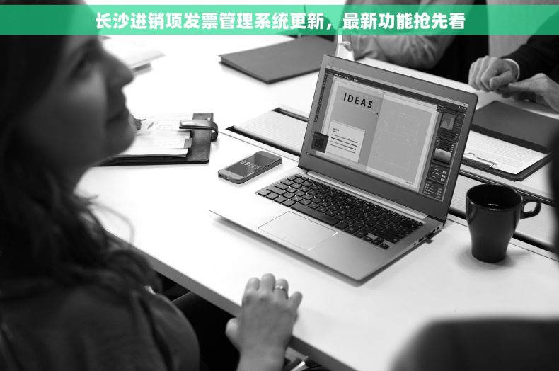长沙进销项发票管理系统更新，最新功能抢先看