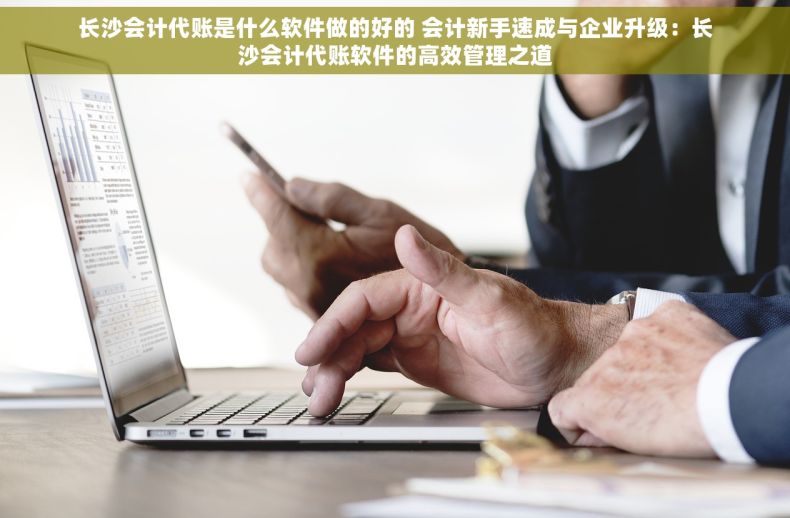 长沙会计代账是什么软件做的好的 会计新手速成与企业升级：长沙会计代账软件的高效管理之道