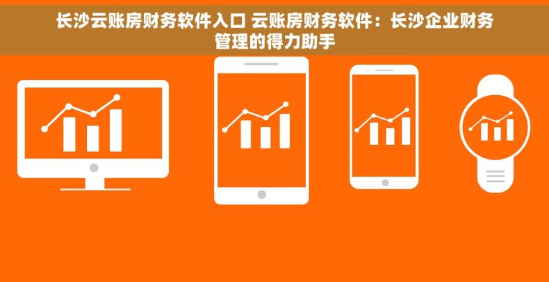 长沙云账房财务软件入口 云账房财务软件：长沙企业财务管理的得力助手