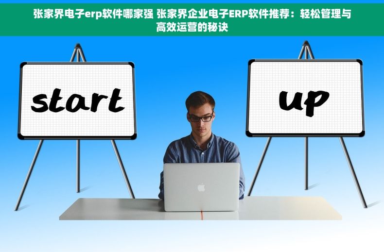 张家界电子erp软件哪家强 张家界企业电子ERP软件推荐：轻松管理与高效运营的秘诀