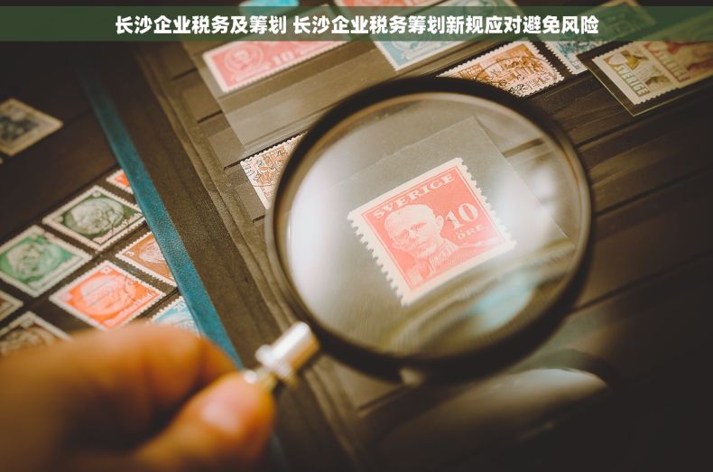 长沙企业税务及筹划 长沙企业税务筹划新规应对避免风险