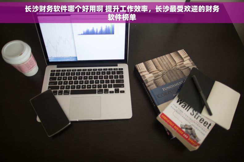 长沙财务软件哪个好用啊 提升工作效率，长沙最受欢迎的财务软件榜单