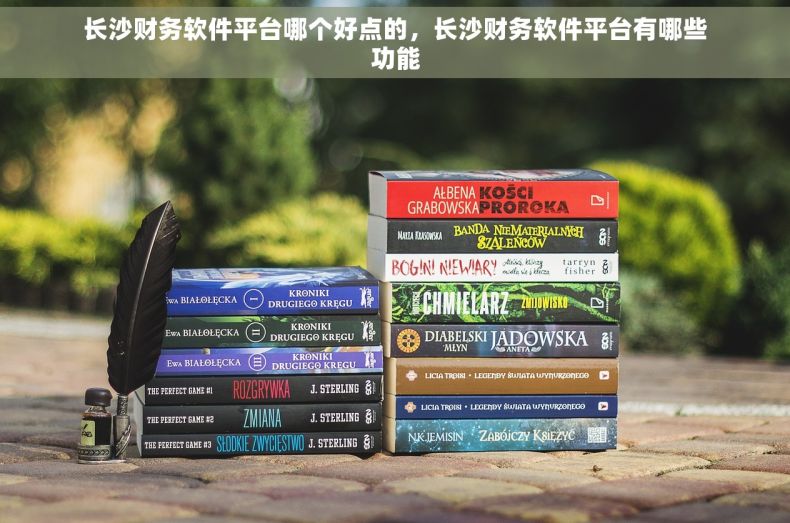 长沙财务软件平台哪个好点的，长沙财务软件平台有哪些功能