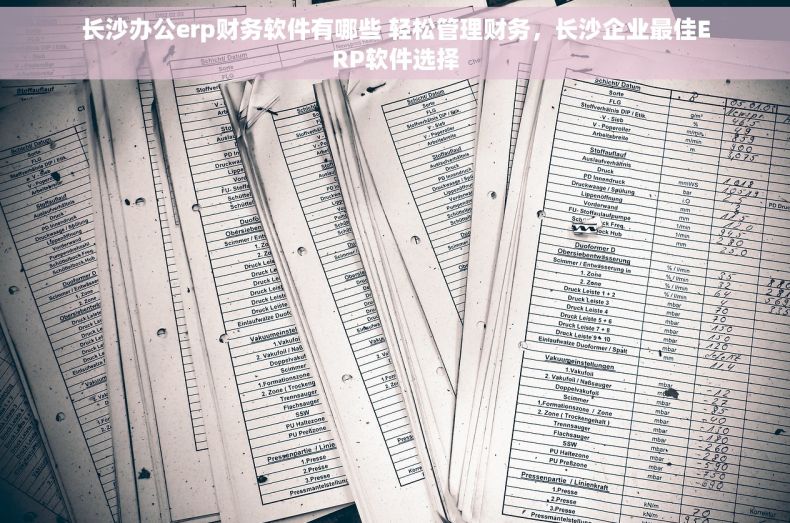 长沙办公erp财务软件有哪些 轻松管理财务，长沙企业最佳ERP软件选择