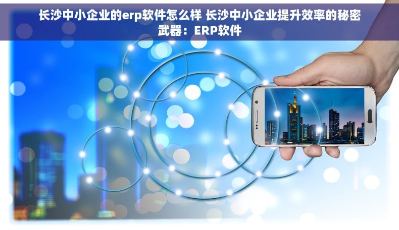 长沙中小企业的erp软件怎么样 长沙中小企业提升效率的秘密武器：ERP软件