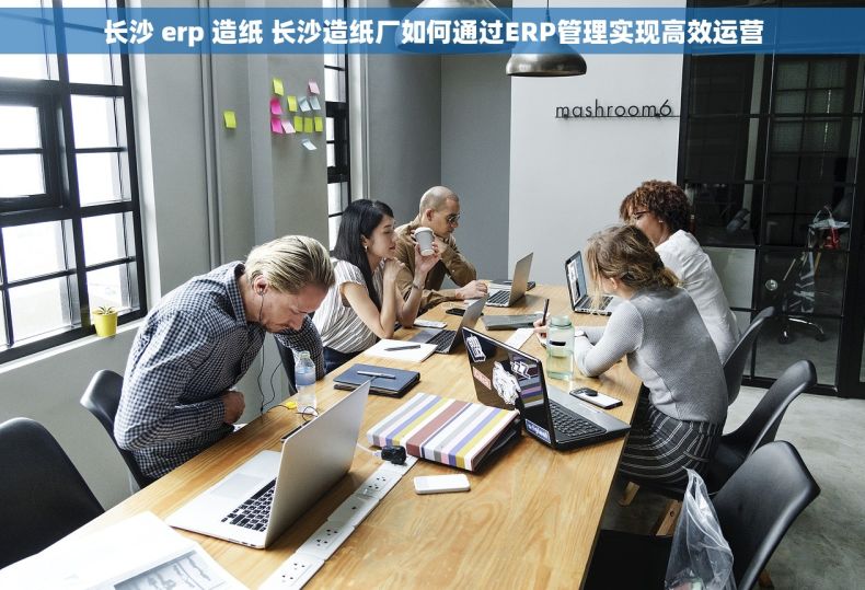 长沙 erp 造纸 长沙造纸厂如何通过ERP管理实现高效运营