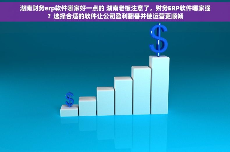 湖南财务erp软件哪家好一点的 湖南老板注意了，财务ERP软件哪家强？选择合适的软件让公司盈利翻番并使运营更顺畅