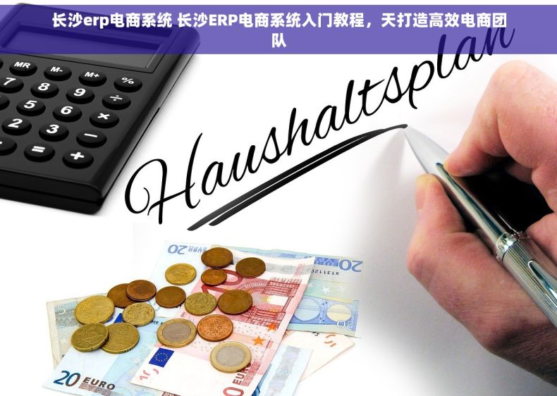 长沙erp电商系统 长沙ERP电商系统入门教程，天打造高效电商团队