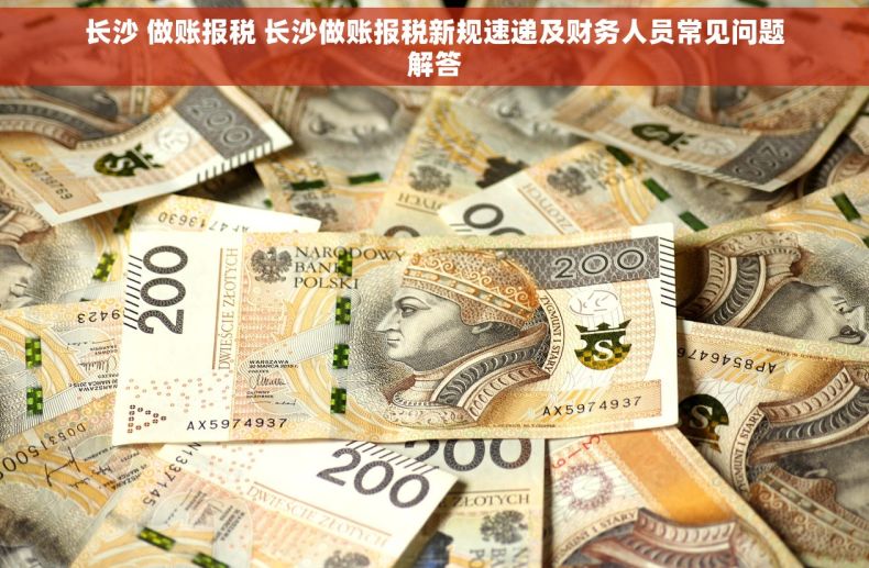 长沙 做账报税 长沙做账报税新规速递及财务人员常见问题解答