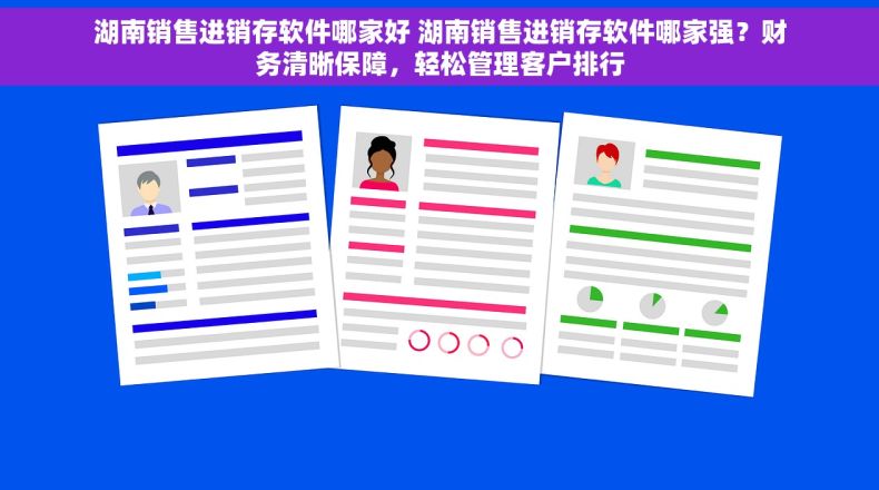 湖南销售进销存软件哪家好 湖南销售进销存软件哪家强？财务清晰保障，轻松管理客户排行