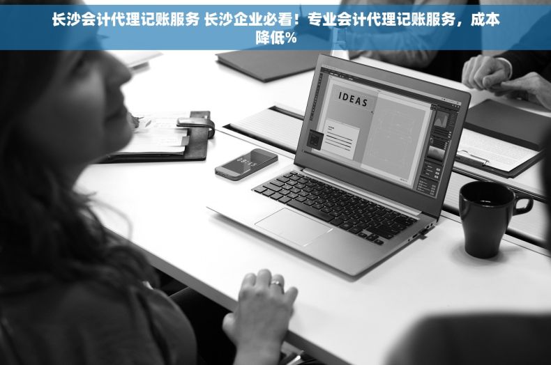 长沙会计代理记账服务 长沙企业必看！专业会计代理记账服务，成本降低%