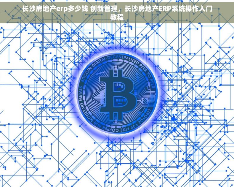 长沙房地产erp多少钱 创新管理，长沙房地产ERP系统操作入门教程