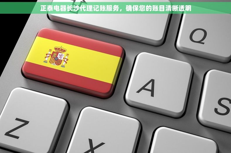 正泰电器长沙代理记账服务，确保您的账目清晰透明