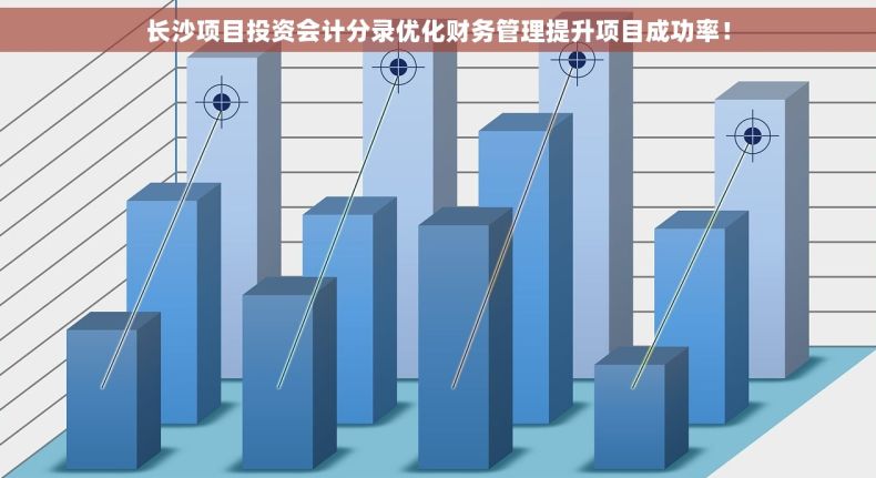 长沙项目投资会计分录优化财务管理提升项目成功率！