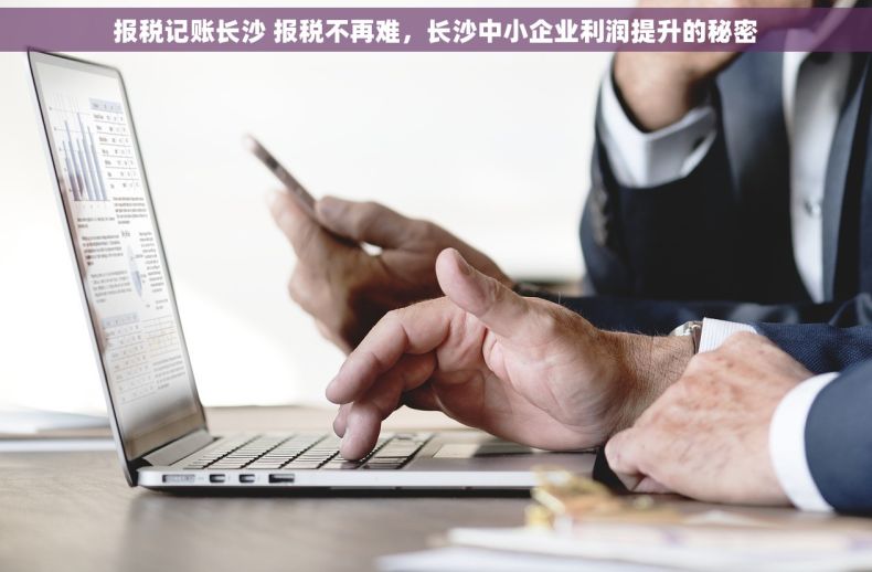 报税记账长沙 报税不再难，长沙中小企业利润提升的秘密