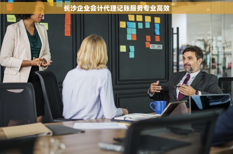 长沙企业会计代理记账服务专业高效