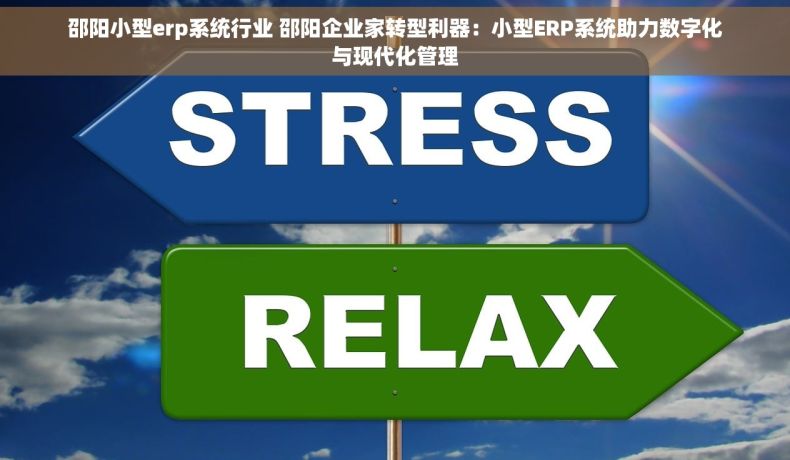 邵阳小型erp系统行业 邵阳企业家转型利器：小型ERP系统助力数字化与现代化管理
