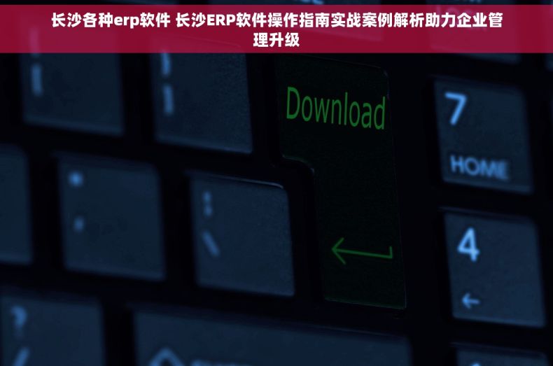 长沙各种erp软件 长沙ERP软件操作指南实战案例解析助力企业管理升级