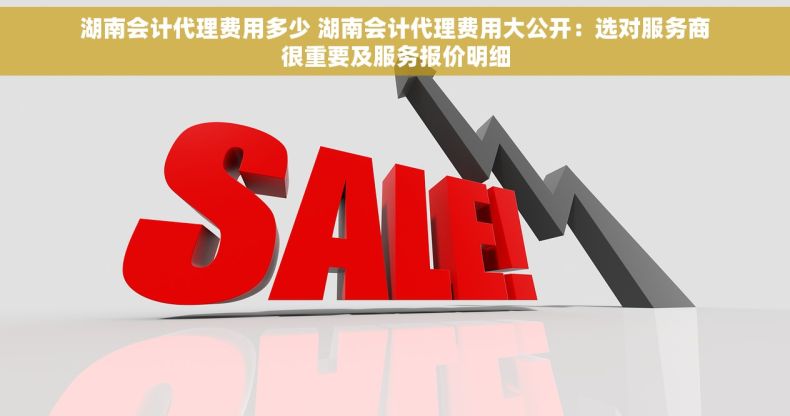 湖南会计代理费用多少 湖南会计代理费用大公开：选对服务商很重要及服务报价明细