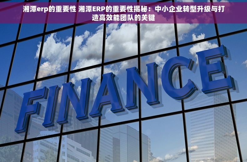 湘潭erp的重要性 湘潭ERP的重要性揭秘：中小企业转型升级与打造高效能团队的关键