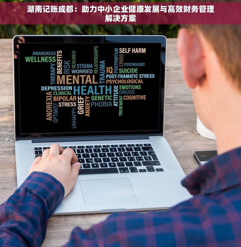湖南记账成都：助力中小企业健康发展与高效财务管理解决方案