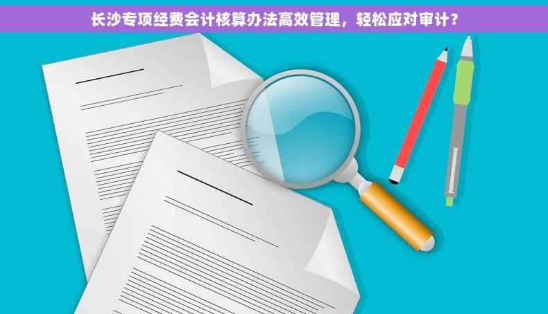 长沙专项经费会计核算办法高效管理，轻松应对审计？