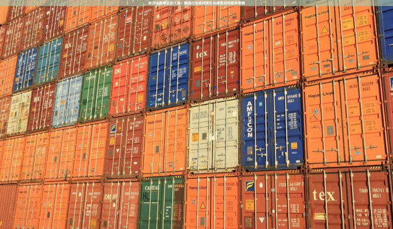 长沙冷库停止出入库：物流行业应对变化与避免货物损失策略